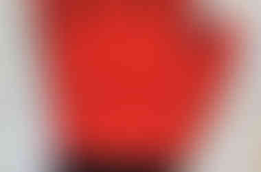 Awinner Pet grooming glove is shown with the red rubber side up