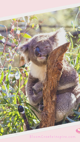 5 Questions We Most Frequently Get Asked Since Moving to Australia