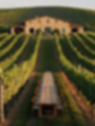 domaine viticole Grignan et alentours