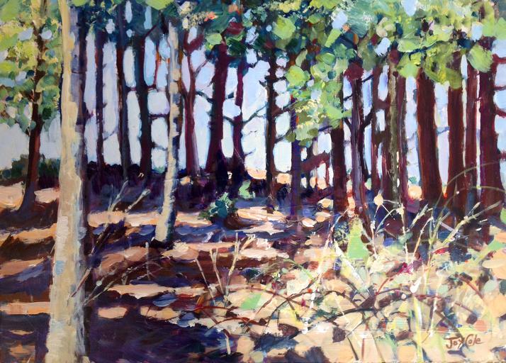 Holkham