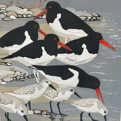 Oystercatchers and Sanderlings S Welfare