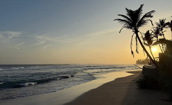Thrively: Nourish Wellness Retreat in Sri Lanka, November 2026