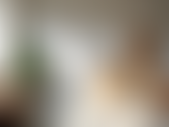 Essential Steps to Prepare for a Successful Home Remodel