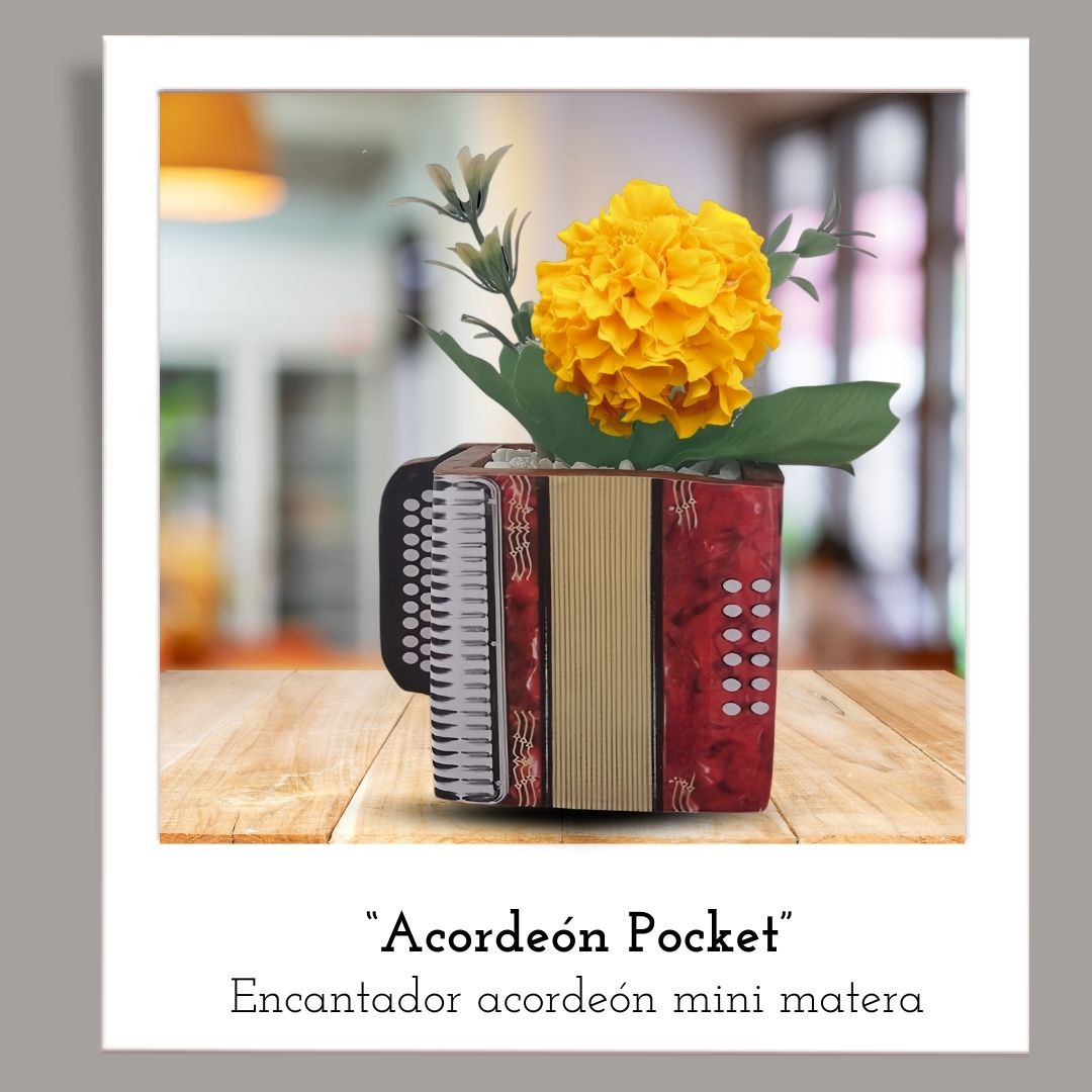 Acordeón Pocket