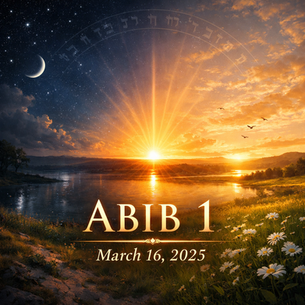 Cinematic sunrise landscape symbolizing the Equilux, with night sky and stars fading into bright daylight over a river and blooming spring field.