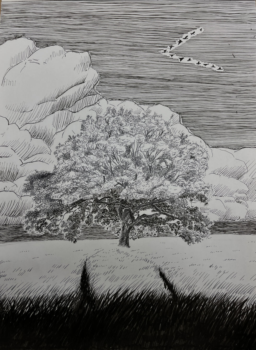 Place of Peace Published work