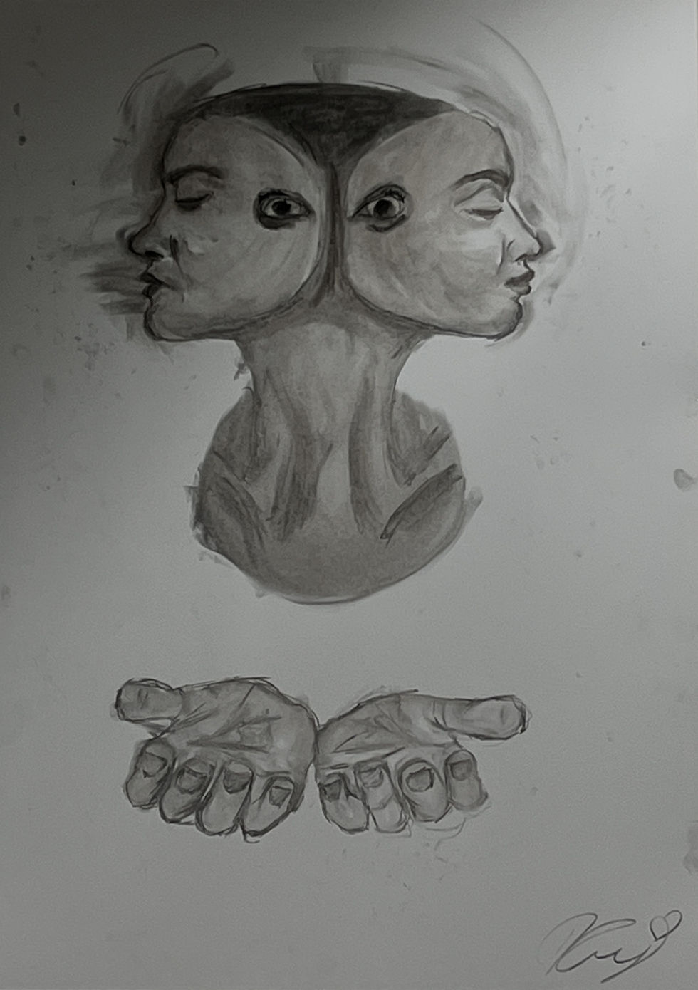 2 Faced 20 minute school project