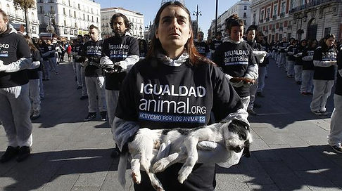 protesta-animales-muertos--644x362.jpg
