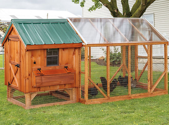 Custom Chicken Coops Fredericksburg VA