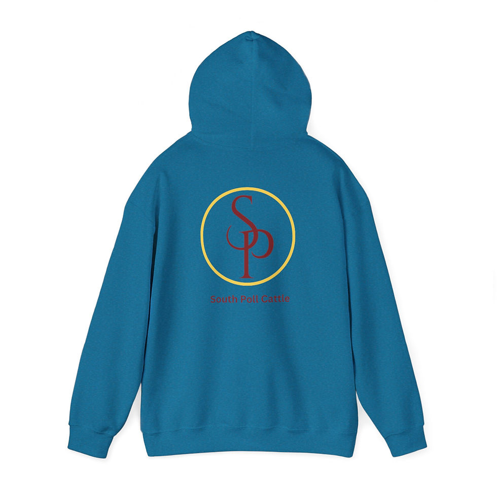 Thumbnail: South Poll Hooded Sweatshirt