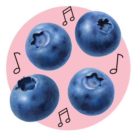 Blueberry Jam Workshop