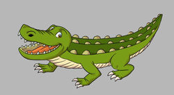 Crocodile