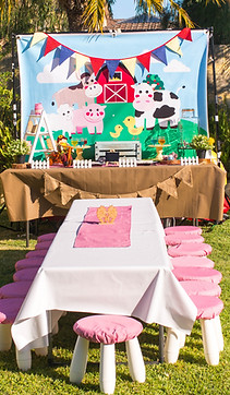 Party in a box-3420.jpg