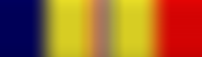 What they Mean - Combat Action Ribbon
