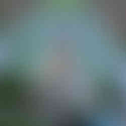 DIY backyard sandbox table with toy trucks, designed for toddler sensory play and outdoor learning.