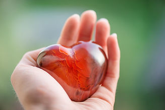 shutterstock_745127344.jpg