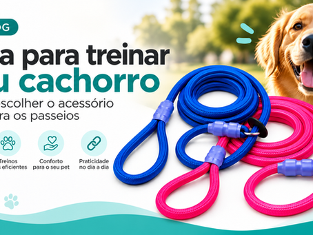 Guia para treinar seu cachorro: como escolher a ideal