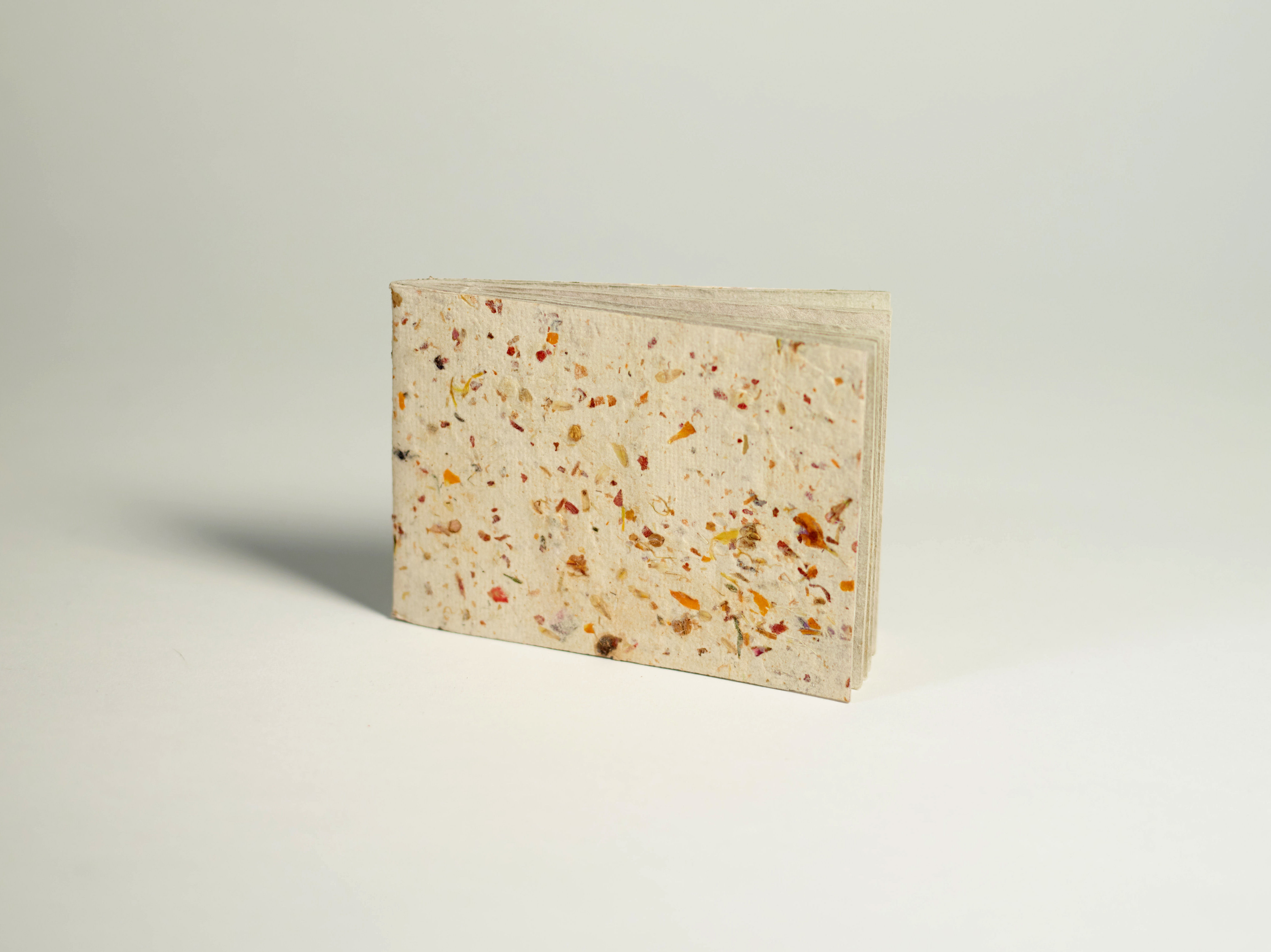 Cream and Orange Blossom