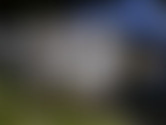 Minutemen Host Tygers on Homecoming Weekend