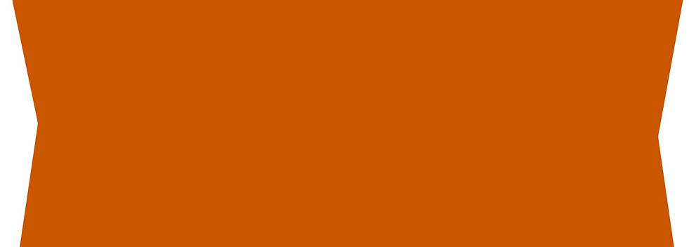 dan-froot-logo-asset-orange (1)_edited.jpg