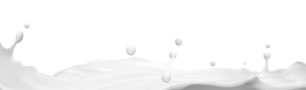 f9bfab8f-a6fe-4df4-ac06-8d6413ca4a61 [Converted].png