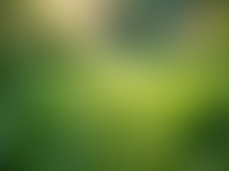 The Importance of Sustainable Living in Today's World