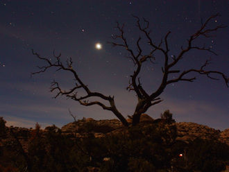 UTAH: Canyonlands National Park