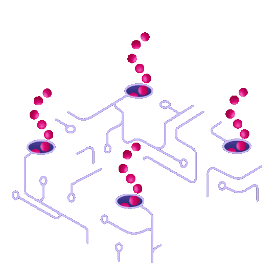 Animation_C.gif