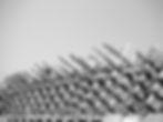 DSCF9516_edited.jpg
