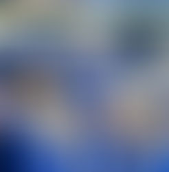 UK's Cutter Boley Named to SEC All-Freshman Squad