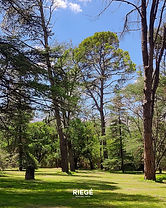 Lotes en venta en el Alto de Nono con vistas increibles y rodeados de pura naturaleza