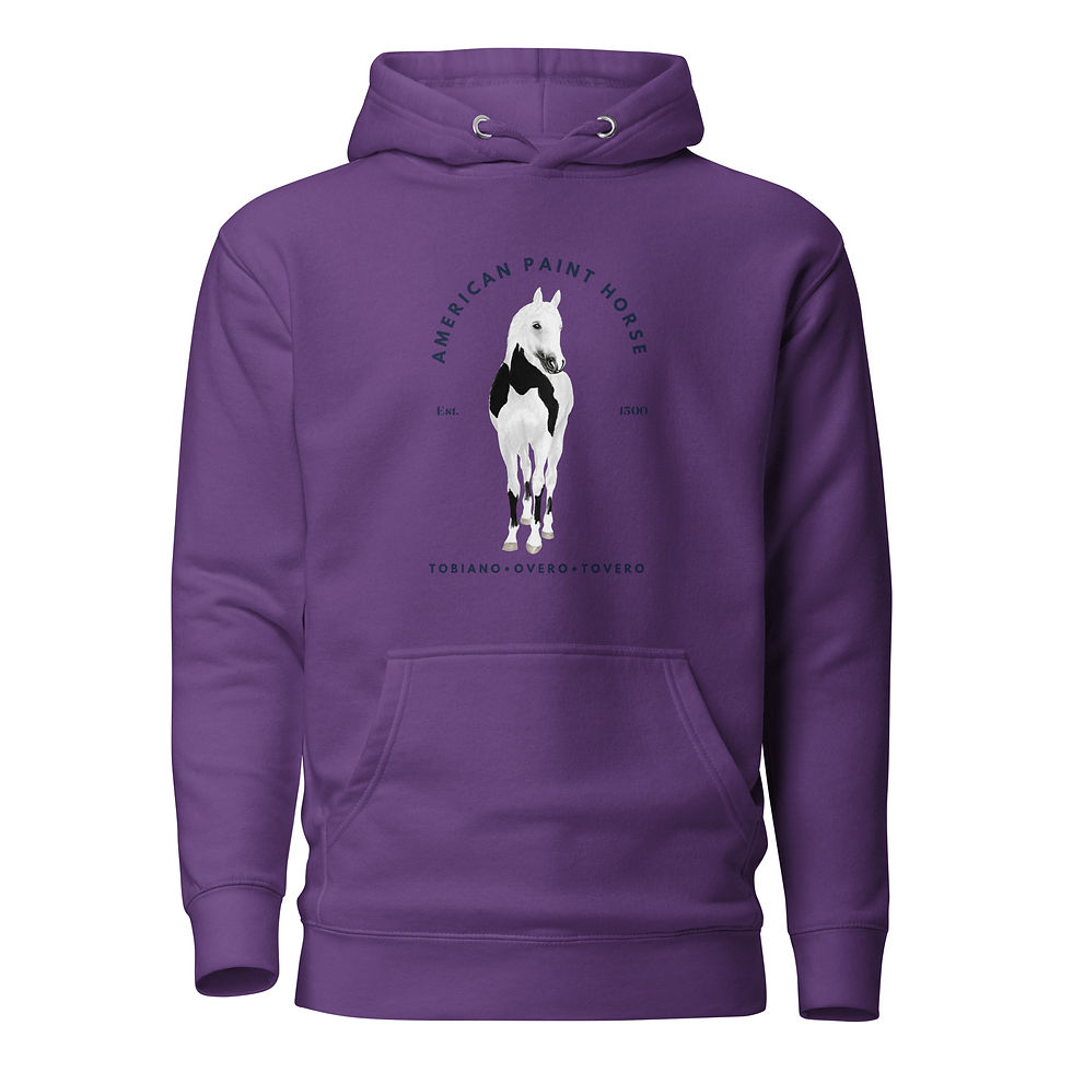 Thumbnail: American Paint Horse premium hoodie
