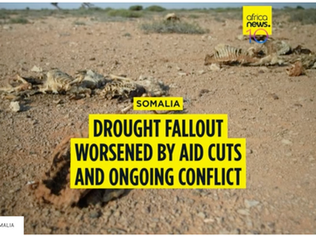 Somalia's drought fallout worsened by aid cuts and ongoing conflict