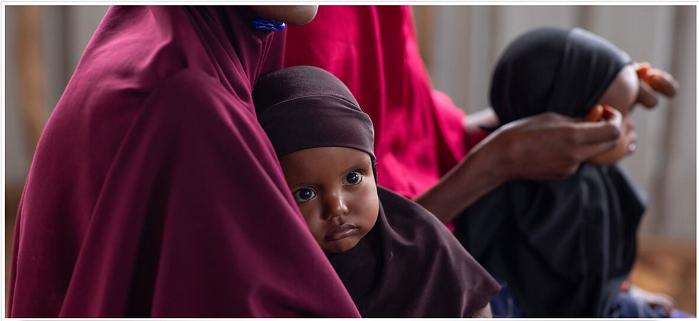 Somali families face renewed violence amid worsening hunger crisis