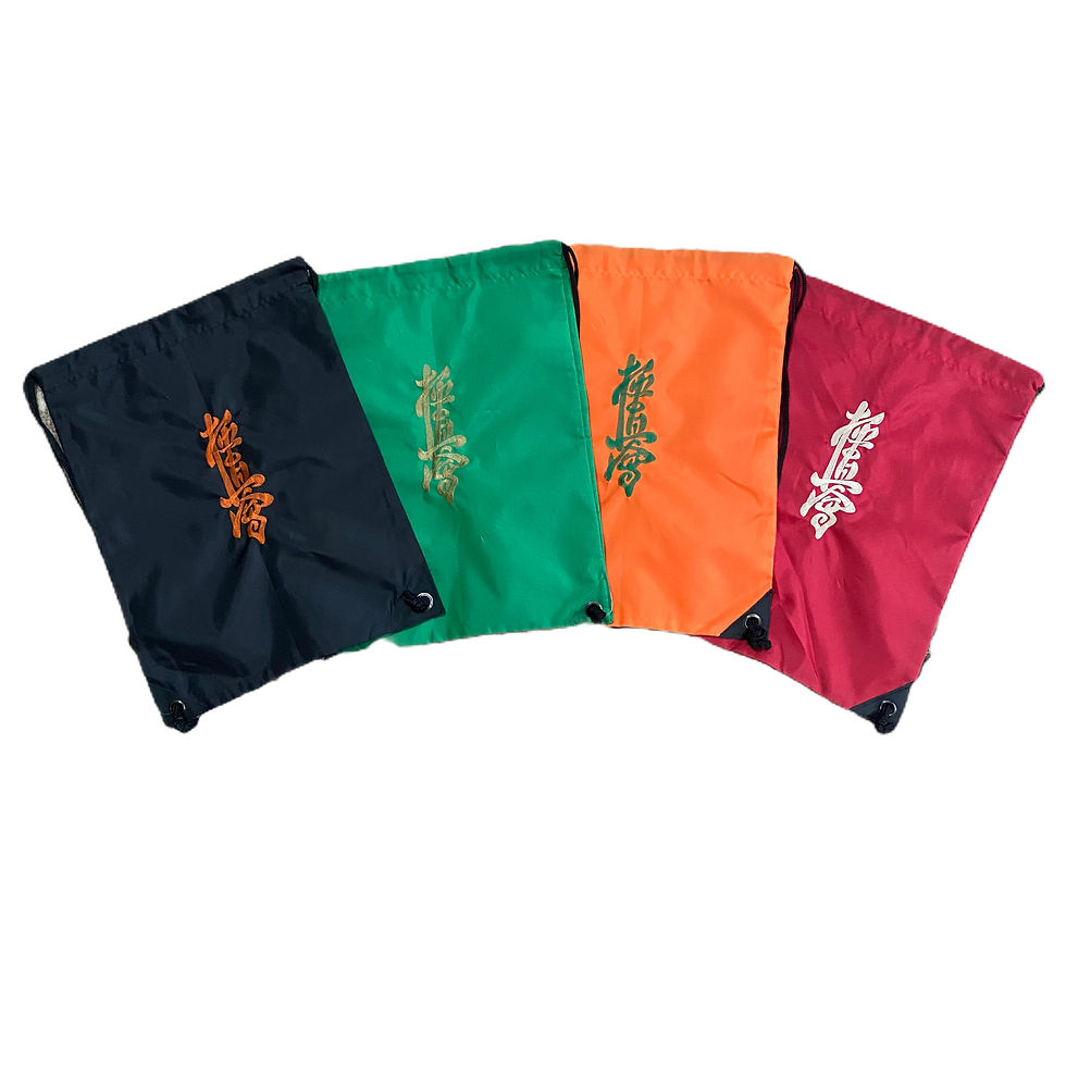 Kyokushin Protections Bag