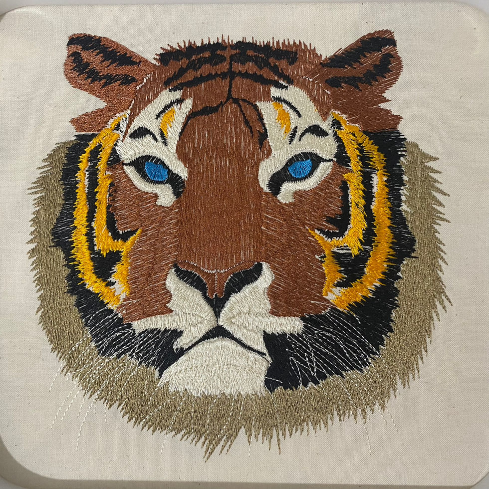 tiger 01