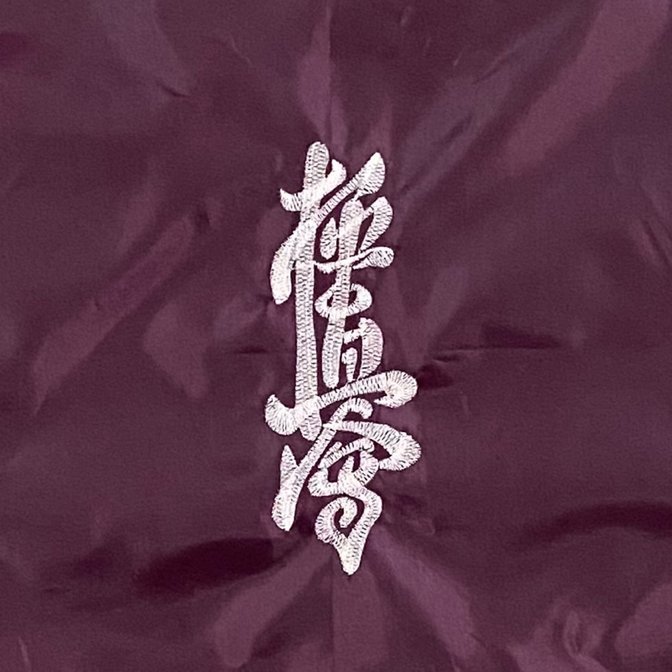 Thumbnail: Kyokushin Protections Bag
