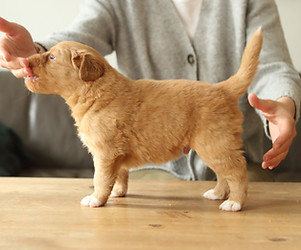 steh4w - IMG_9839.JPG