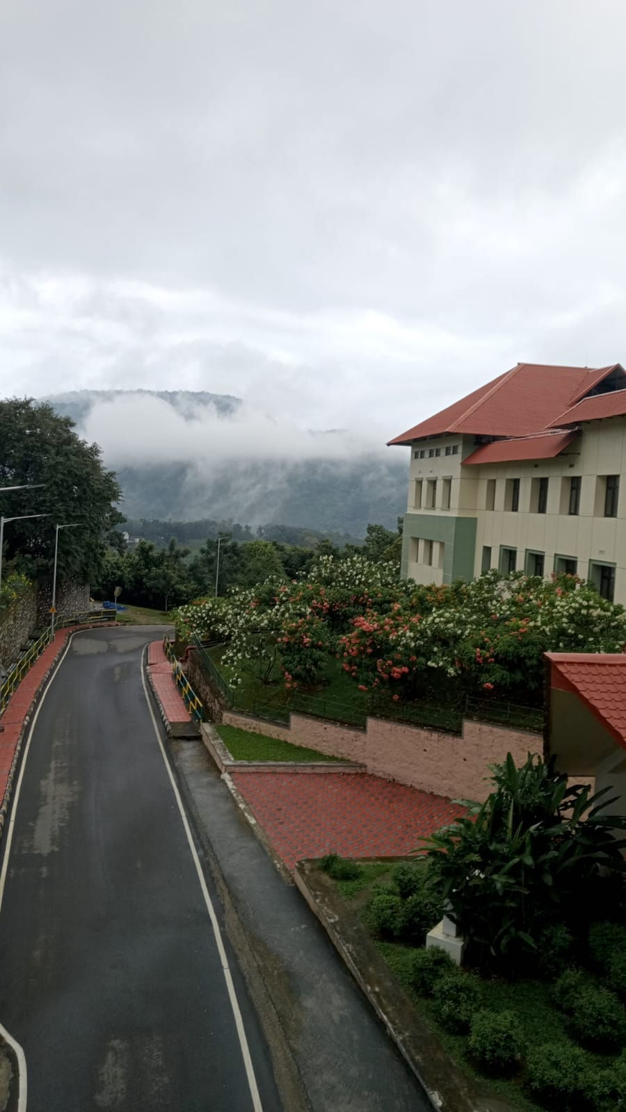 BSB Skywalk view