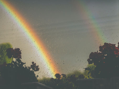 #DesafioDeOutubro21 - Um sopro de esperança