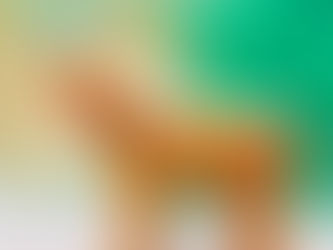 Dona Laura | Parte 2