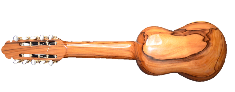 charango2.png todo acerca del charango