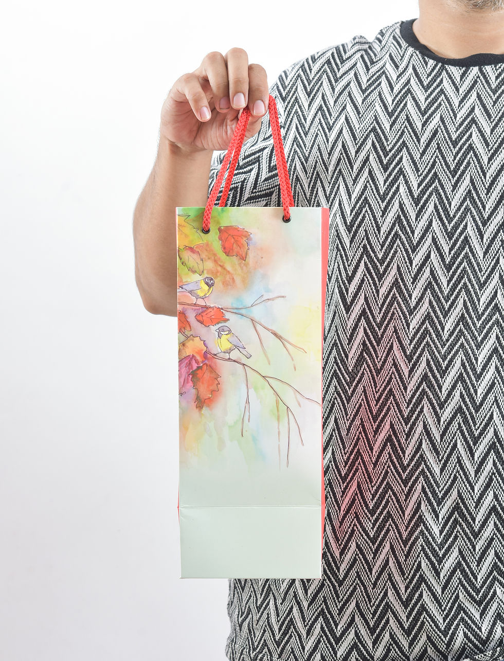 Thumbnail: PPJ ® - WATER / WINE/JUCE BOTTLE (10 Pcs.) 13X5X5 INCH PAPER CARRY BAGS