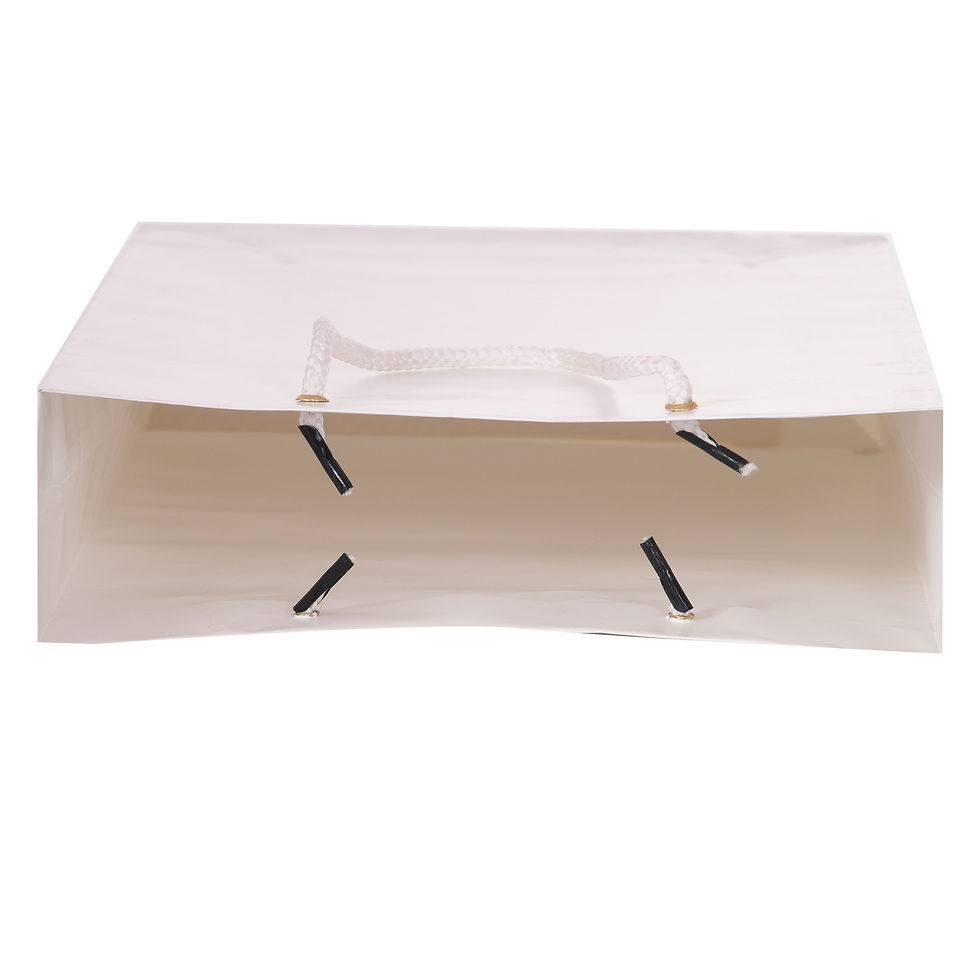 Thumbnail: PPJ ® -PLAIN WHITE (HORIZONTAL) (10 Pcs.) 16X12X4 INCH PAPER CARRY BAGS