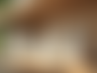 How to Start a Toxin-Free Home (Beginner Guide)