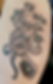 blackandgrayoctopus