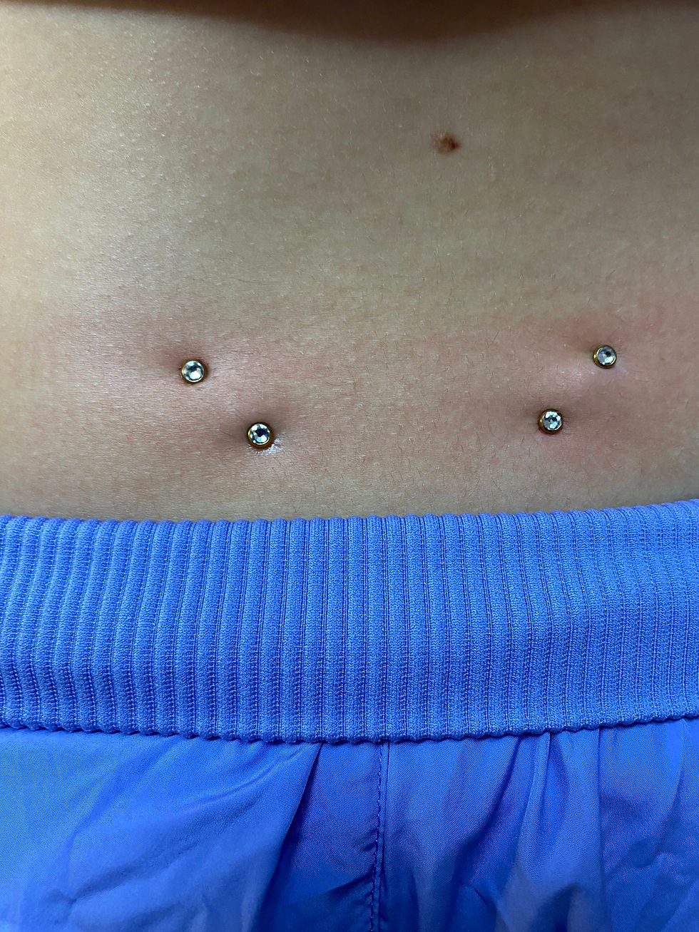 Lower Back Surface Bars