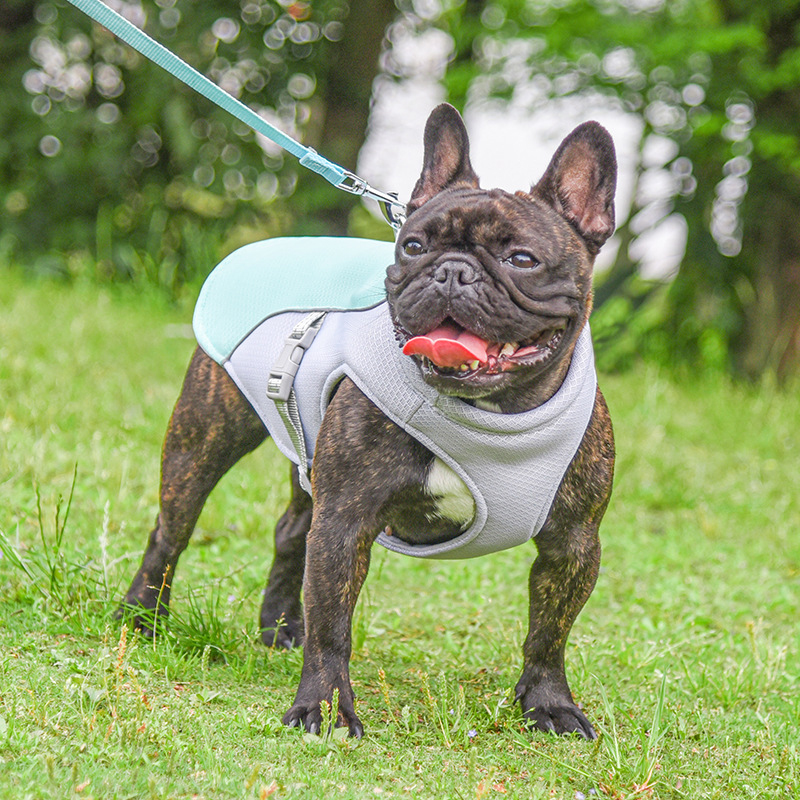 Chill Pet Vest