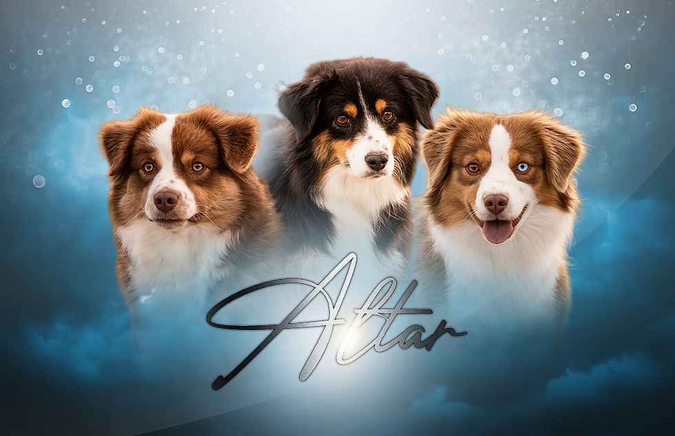 thumbnail_Carte de visite Altar recto.png