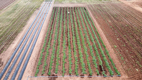 45673def-cb99-4e52-899c-1d28cdec811e.jfif